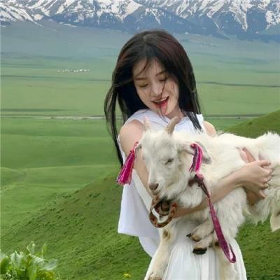 特洛伊一千个女人